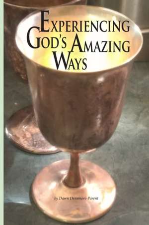 Experiencing God's Amazing Ways de Dawn M Densmore