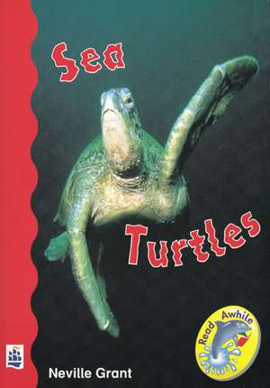 Sea Turtles de Mr Neville Grant