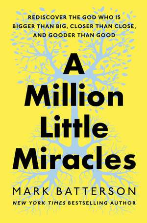 A Million Little Miracles de Mark Batterson