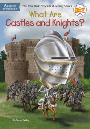 What Are Castles and Knights? de Sarah Fabiny