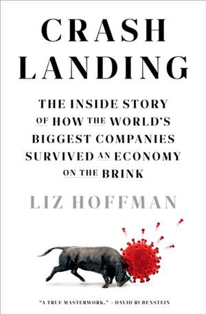 Crash Landing de Liz Hoffman