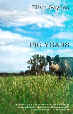 Pig Years de Ellyn Gaydos