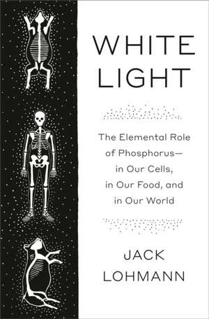 White Light de Jack Lohmann
