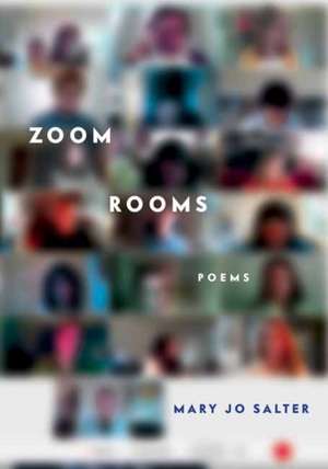 Zoom Rooms: Poems de Mary Jo Salter