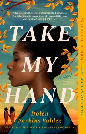 Take My Hand de Dolen Perkins-Valdez