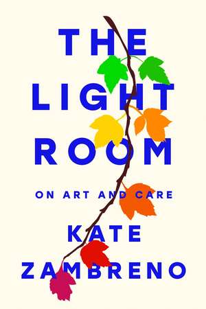 The Light Room de Kate Zambreno