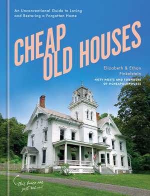 Cheap Old Houses de Elizabeth Finkelstein