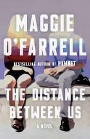 The Distance Between Us de Maggie O'Farrell