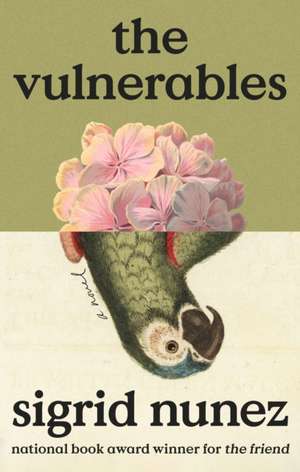 Nunez, S: Vulnerables