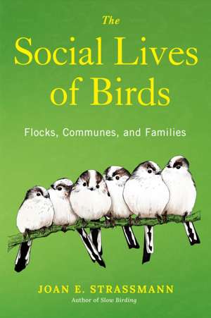 The Social Lives of Birds de Joan E Strassmann