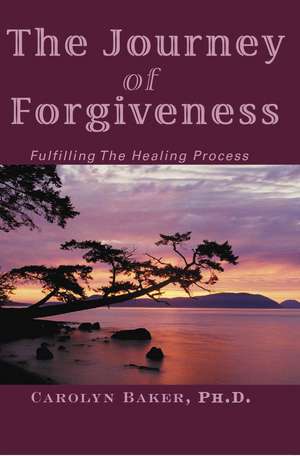 The Journey of Forgiveness de Carolyn Baker