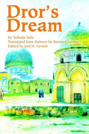 Dror's Dream de Martin A. Levitin