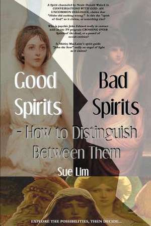 Good Spirits, Bad Spirits de Sue Lim