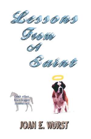 Lessons from a Saint de Joan E. Wurst