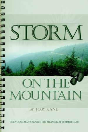 Storm on the Mountain de Toby Kane