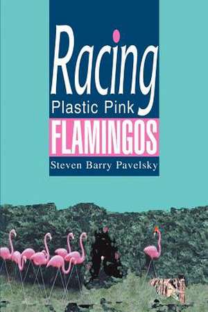 Racing Plastic Pink Flamingos de Steven Barry Pavelsky