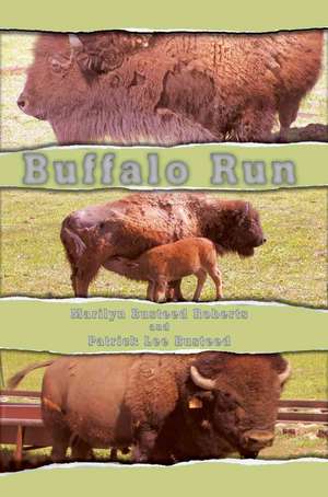 Buffalo Run de Marilyn Busteed Roberts