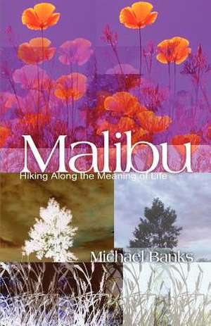 Malibu de Michael Banks