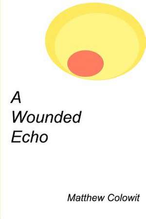 A Wounded Echo de Matthew Colowit