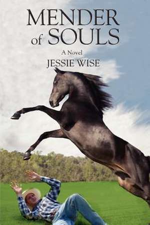 Mender of Souls de Jessie L. Wise