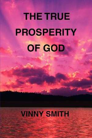 The True Prosperity of God de Vinny Smith