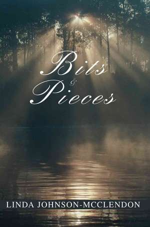 Bits & Pieces de Linda Johnson-McClendon