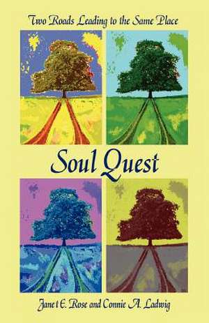 Soul Quest de Janet E. Rose