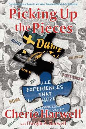 Picking Up the Pieces de Cherie K. Harwell