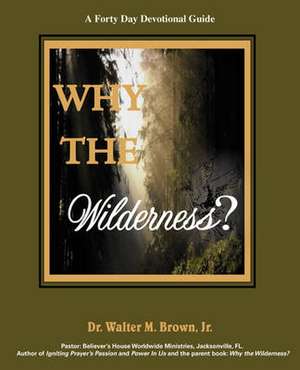 Why the Wilderness de Walter M. Jr. Brown