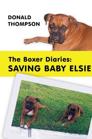 The Boxer Diaries de Donald Thompson