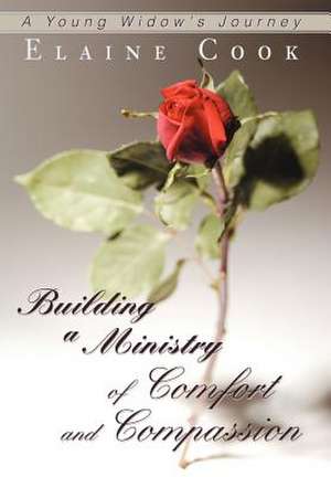 Building a Ministry of Comfort and Compassion de Elaine Cook