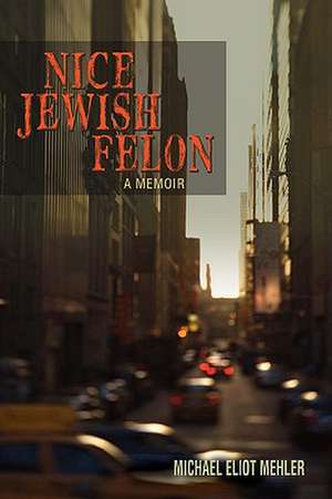 Nice Jewish Felon de Michael Eliot Mehler