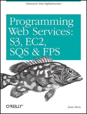 Programming Amazon Web Services de James Murty