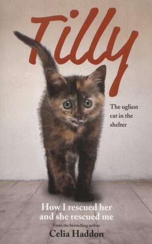 Tilly: The Ugliest Cat de Celia Haddon