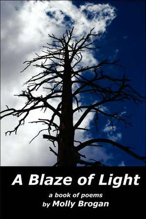 A Blaze of Light de Molly Brogan