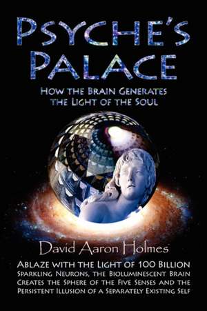 Psyche's Palace: How the Brain Generates the Light of the Soul de David Aaron Holmes