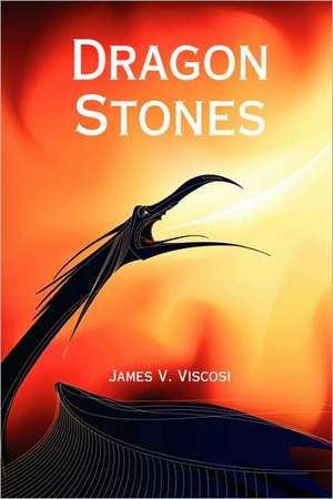 Dragon Stones de James V. Viscosi