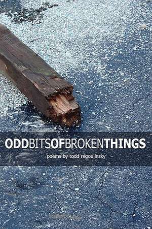 Odd Bits of Broken Things de Todd Regoulinsky