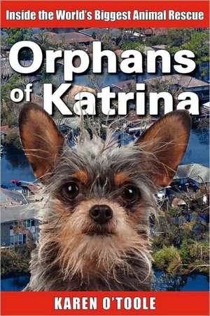 Orphans of Katrina de Karen O'Toole