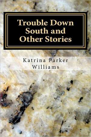 Trouble Down South and Other Stories: Networks & Church Planting de Mrs Katrina Parker Williams