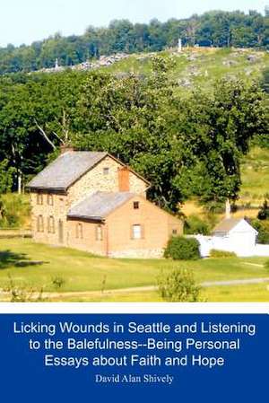 Licking Wounds in Seattle and Listening to the Balefulness--Being Personal Essays about Public Mental Health and Public Engagement de David Alan Shively