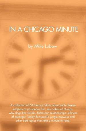 In a Chicago Minute: The Sunset Love Series de Mike Lubow