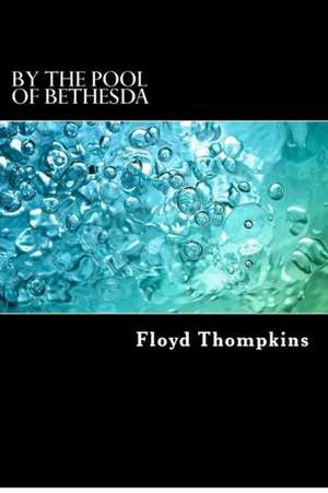 By the Pool of Bethesda: Biblical Meditations on Long-Term Illness and Terminal Diagnoses de Floyd Jr. Thompkins