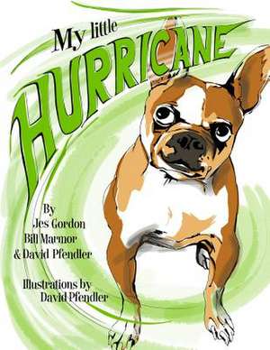 My Little Hurricane de Jes Gordon