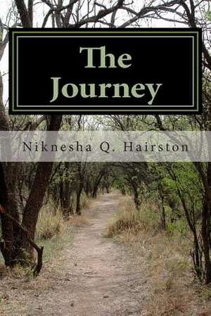 The Journey de Niknesha Q. Hairston