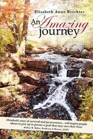 An Amazing Journey de Elizabeth Anne Brechter