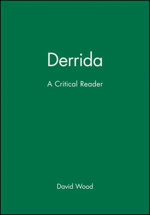 Derrida de David Wood