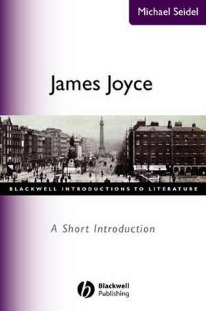 James Joyce de M Seidel