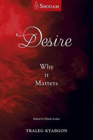 Desire: Why It Matters de Traleg Kyabgon