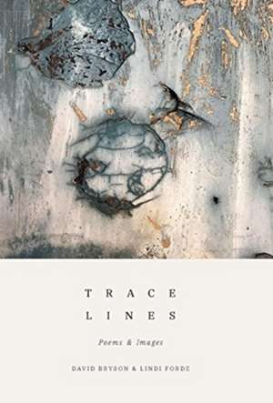 Trace Lines de David Bryson
